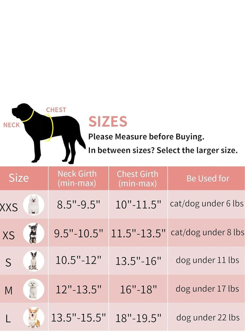 طقم سرج للقطط والكلاب - سرج ومقود مانع للشد، سرج سهل المشي، مناسب للجري والتدريب، قابل للتعديل، 5 مقاسات، 4 ألوان، سرج مريح للكلاب والقطط، سرج عاكس للضوء، سرج مبطن ناعم للحيوانات الأليفة للأنشطة الخارجية - Image 5