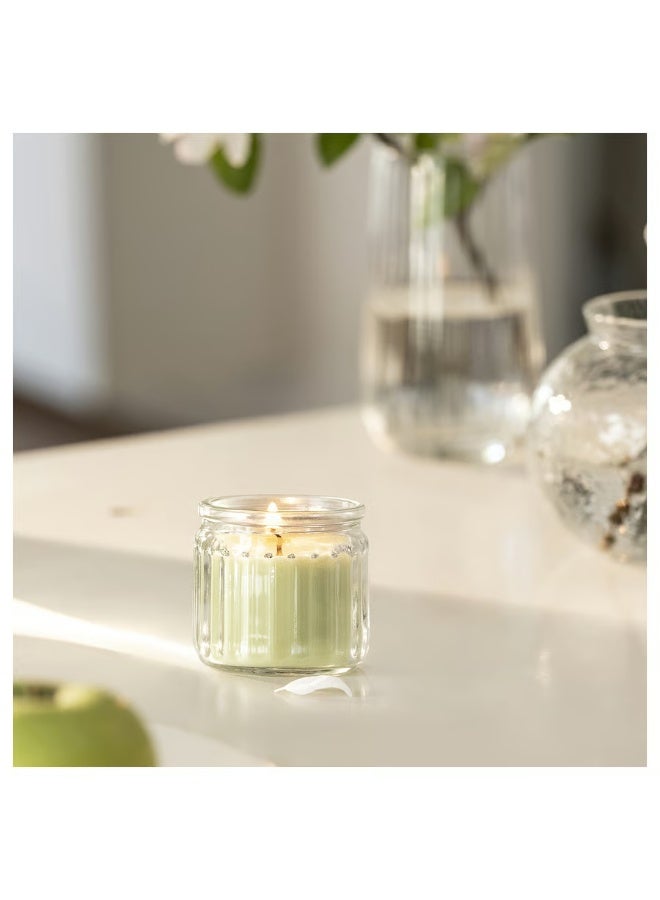 Ikea Green Mini Scented Candles in Glass Jars, Apple, Apple Blossom and Jasmine Scent, 12 Hours - Image 3