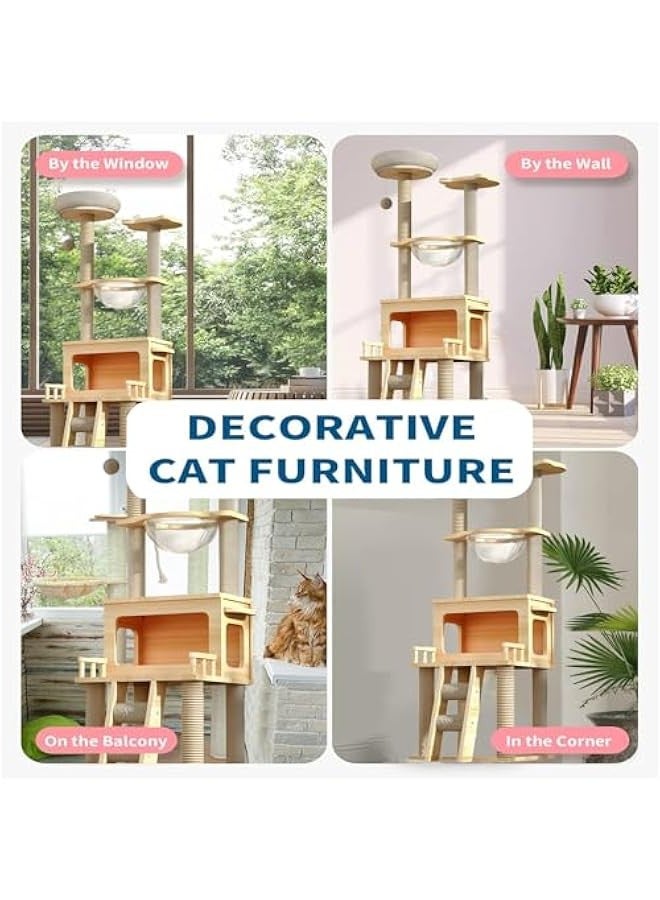 Beauenty Cat Tree Tower, Modern Cat Condo with Space Capsule Nest, Sisal Covered Scratching Post, and Ladder for Indoor Cats - Image 2