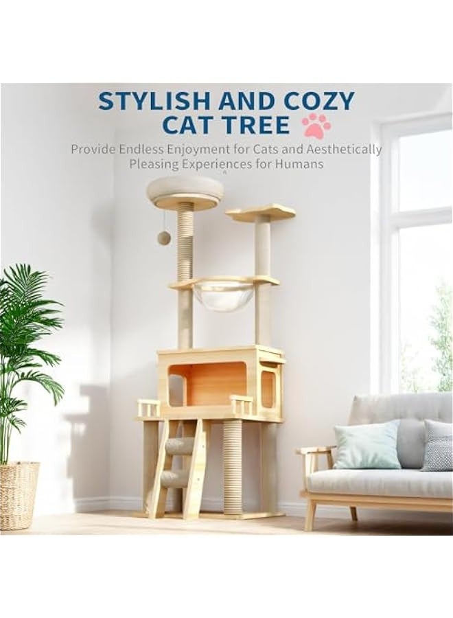 Beauenty Cat Tree Tower, Modern Cat Condo with Space Capsule Nest, Sisal Covered Scratching Post, and Ladder for Indoor Cats - Image 5