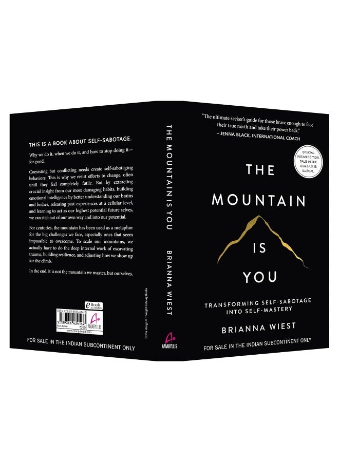 The Mountain Is You: Transforming Self-Sabotage Into Self-Mastery by Brianna Wiest - Image 4