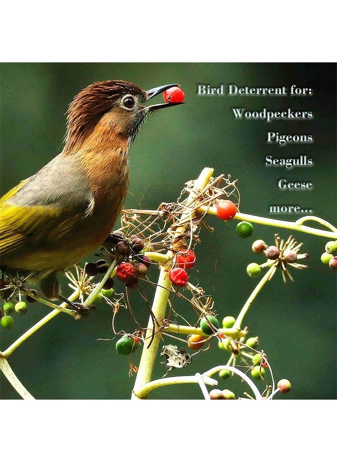 MVAQKLM  - [Upgrade] 24 Pcs Holographic Reflective Bird Scare Discs Pigeons, Bird Reflectors Scarer, Keep Birds Away (24 Round Disks) - Image 1