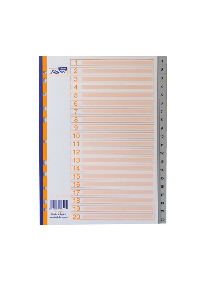 Digital Index Dividers, A4, Printed - 20