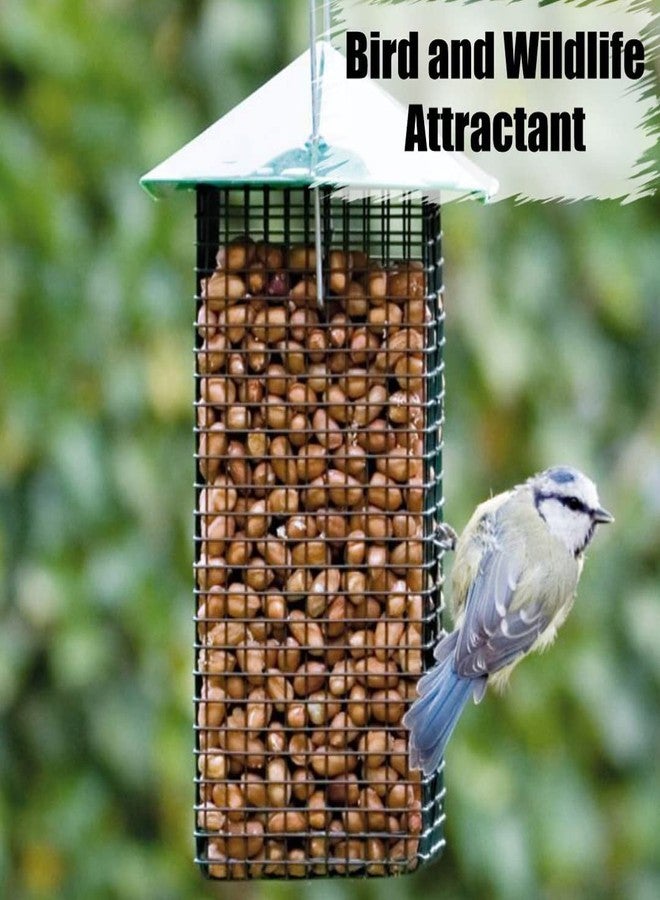 Old Potters Wildlife Shelled Peanuts, 10 lbs for Birds, Squirrels, and Wildlife. USA Grown Non-GMO, Organic Small Farm, Raw Shelled Peanuts. Wildlife Grade. - Image 5