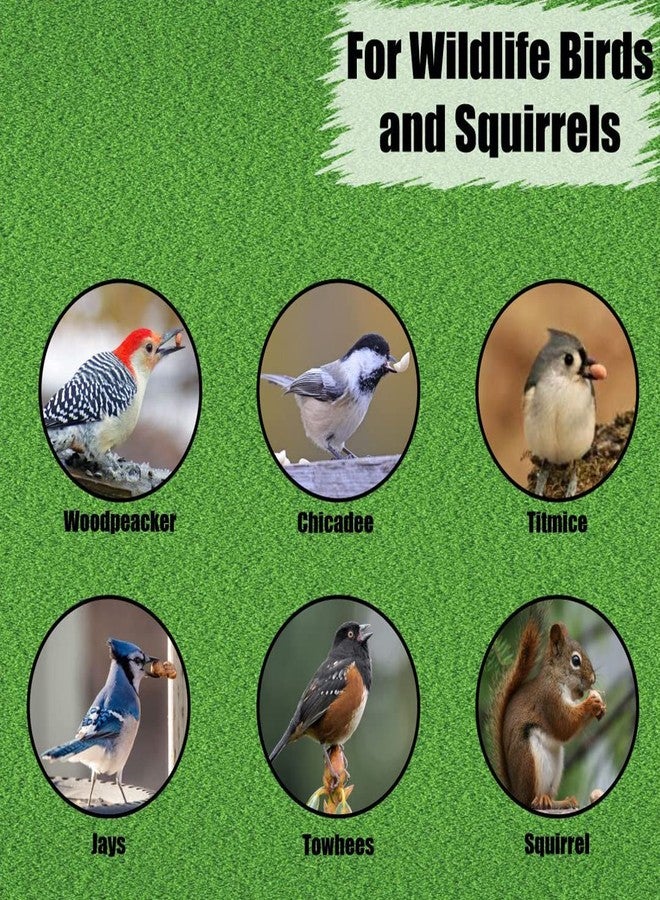 Old Potters Wildlife Shelled Peanuts, 10 lbs for Birds, Squirrels, and Wildlife. USA Grown Non-GMO, Organic Small Farm, Raw Shelled Peanuts. Wildlife Grade. - Image 2