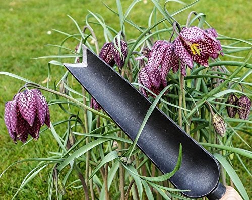 DeWit Tierra Garden DeWit Snake Tongue Trowel, Garden Tool for Roots and Planting (31-3005) - Image 2