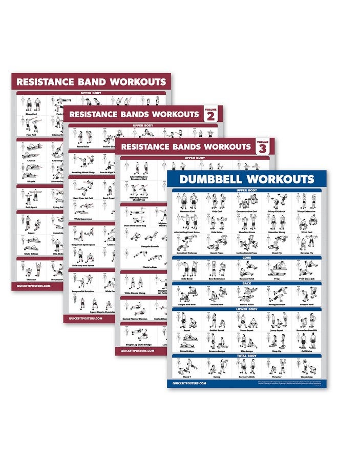 Palace Learning 4 Pack Resistance Bands Workout Posters Volume 1 2 & 3 + Dumbbell Exercise Chart (Laminated 18" X 24") - Image 2
