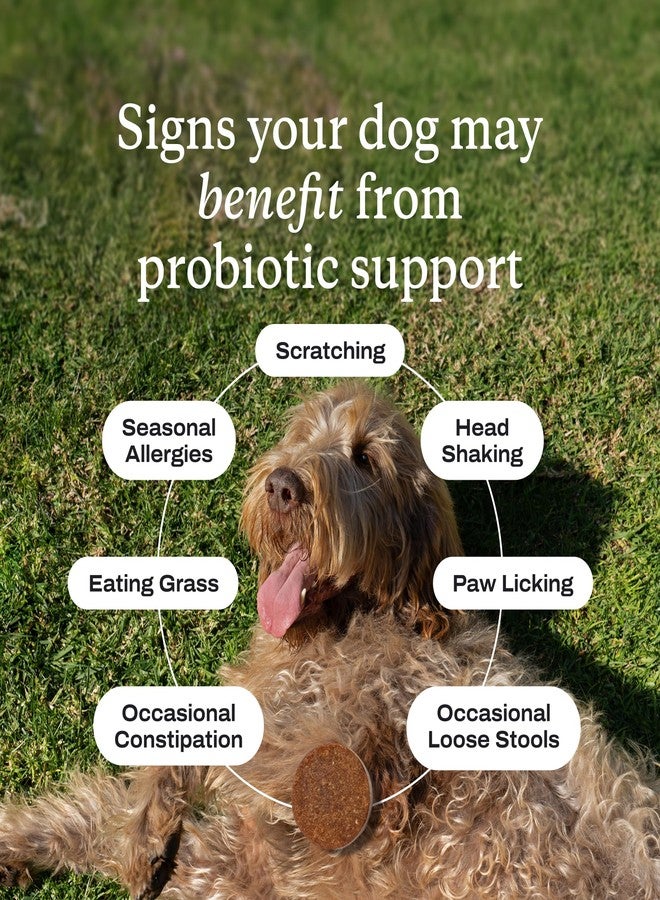 PetLab Co. Probiotics for Dogs - Support Gut Health, Occasional Diarrhea, Digestive Health, Paw Licking & Seasonal Allergies, Pork Flavor, 30 Soft Chews, Formulated for Small Dogs, Packaging May Vary - Image 2