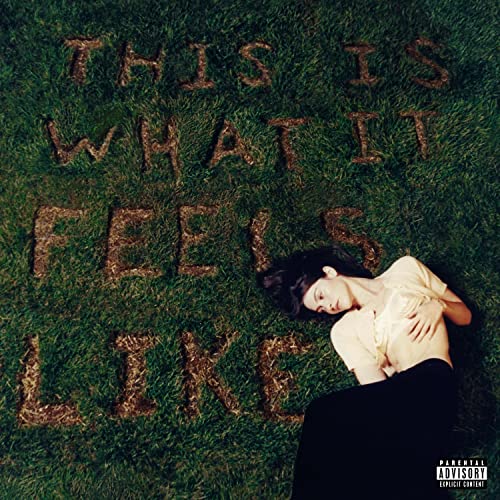 INTERSCOPE This Is What It Feels Like[LP] - Image 5