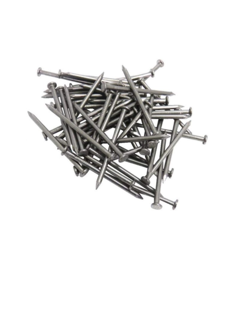 High Strength Round Head Nails For Carpentry Hardware Electrical Etc (100, 3 inch) - Image 3