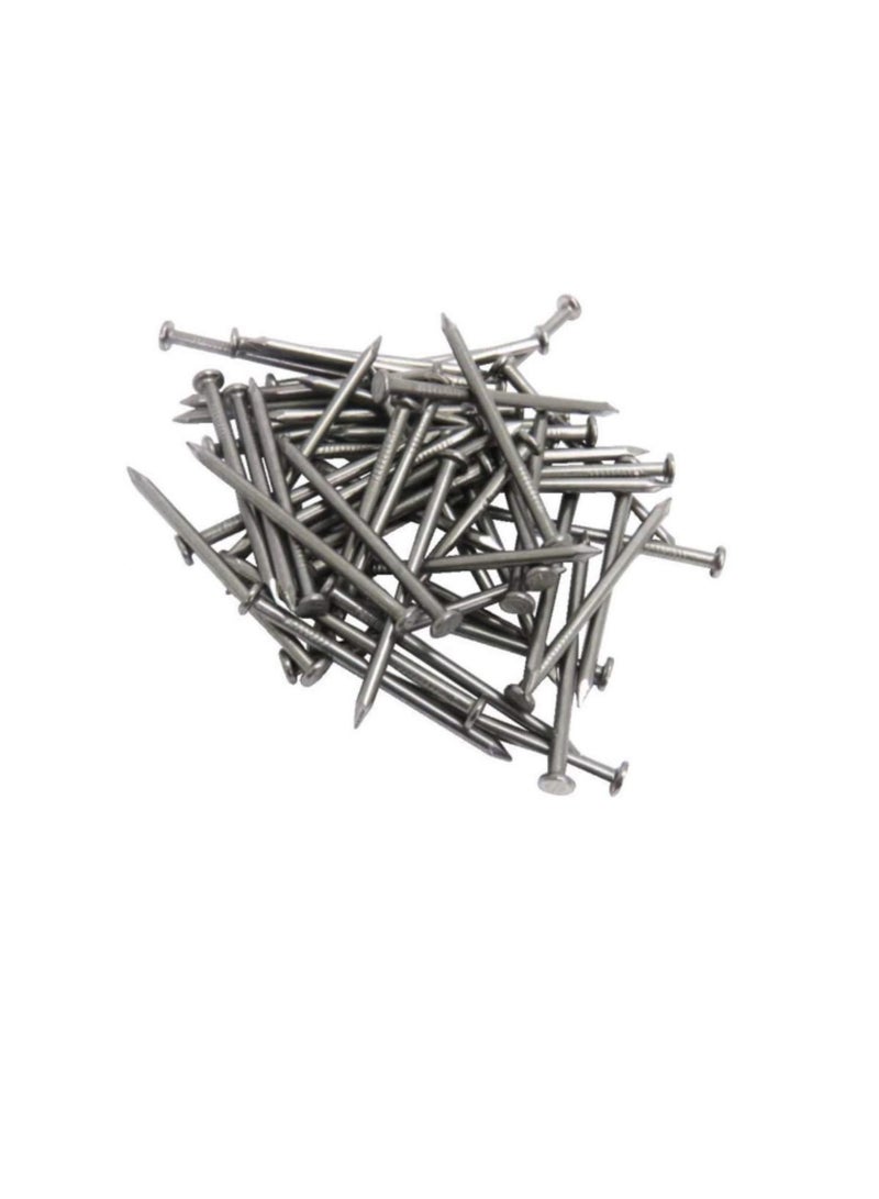 High Strength Round Head Nails For Carpentry Hardware Electrical Etc (100, 3 inch) - Image 2
