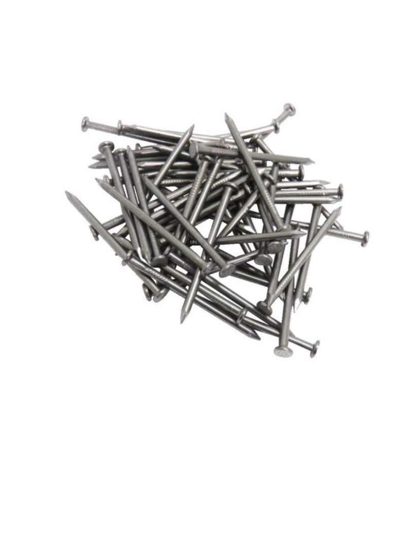 High Strength Round Head Nails For Carpentry Hardware Electrical Etc (100, 3 inch) - Image 1