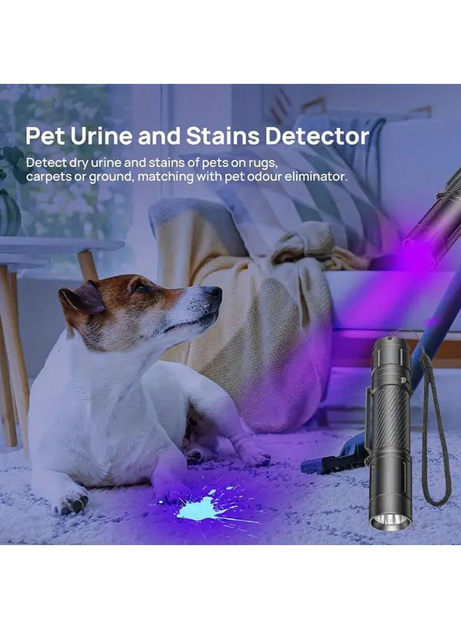 1 قطعة مصباح يدوي بالأشعة فوق البنفسجية قابلة لإعادة الشحن عبر USB 395 نانومتر ضوء أسود 3 أوضاع للكشف عن بول الحيوانات الأليفة - Image 3