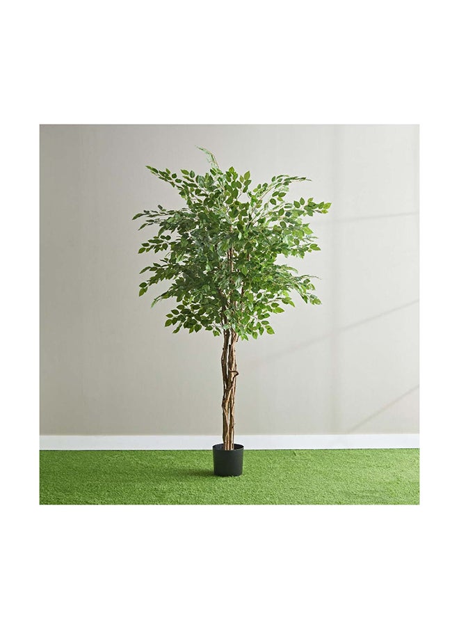 Home Box Teodora Ficus Artificial Tree 210 cm  - Image 1