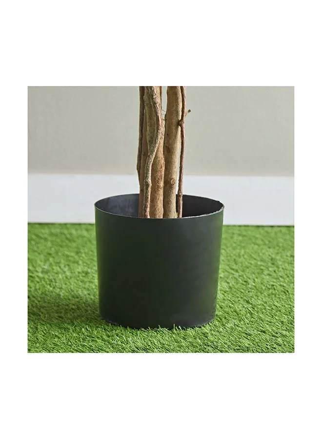Home Box Teodora Ficus Artificial Tree 210 cm