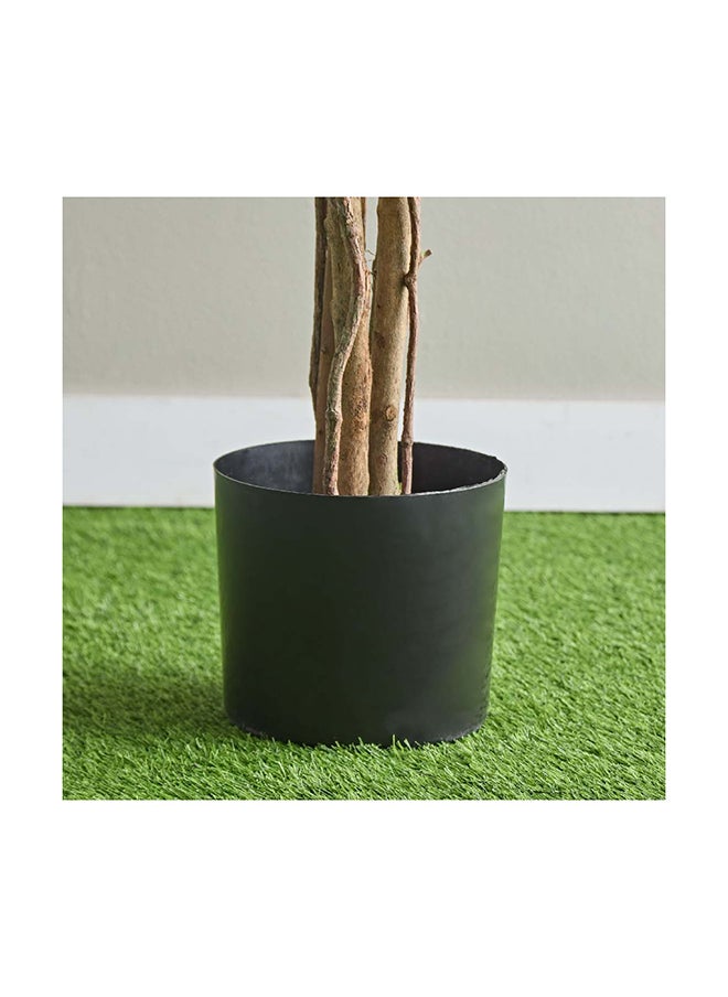 Home Box Teodora Ficus Artificial Tree 210 cm  - Image 3