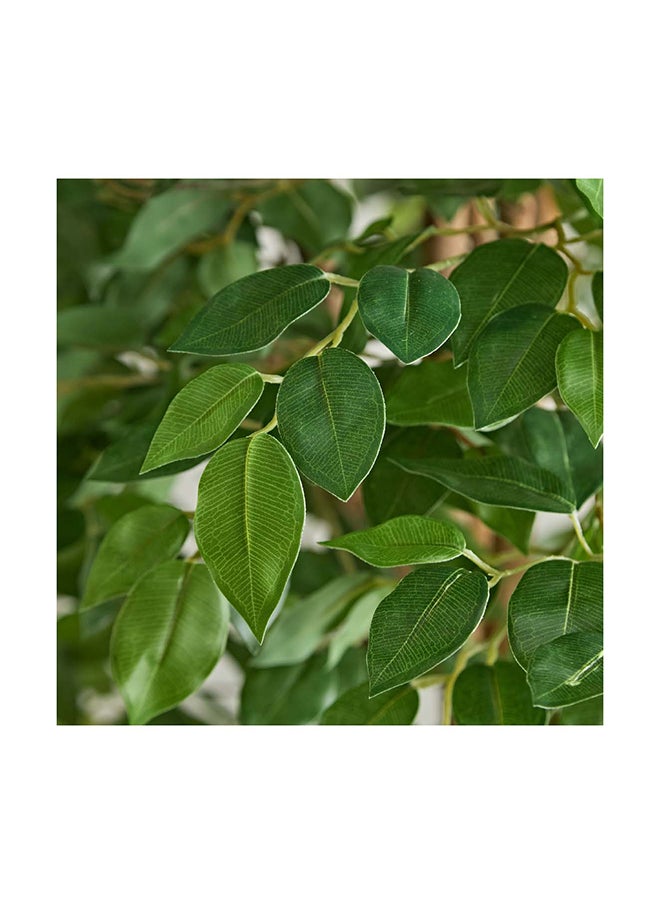 Home Box Teodora Ficus Artificial Tree 210 cm  - Image 2