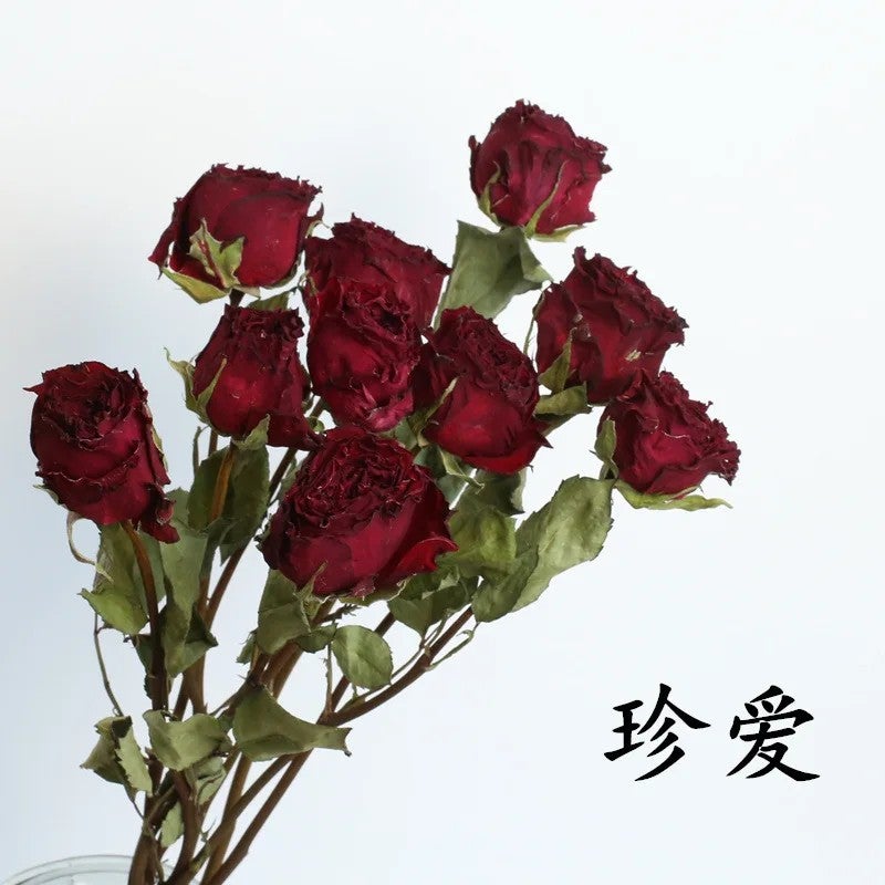 Bluejw Real Natural Dried Roses Bouquet Long Stem, Cheap Dried Plants Flower Arrangement for Home Decor - Image 1