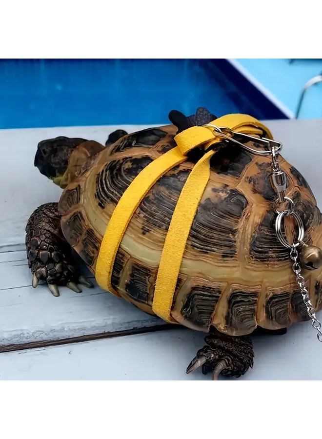 حزام صدر قابل للتعديل للسلاحف الخضراء، مستلزمات الزواحف والحيوانات الأليفة - Image 2