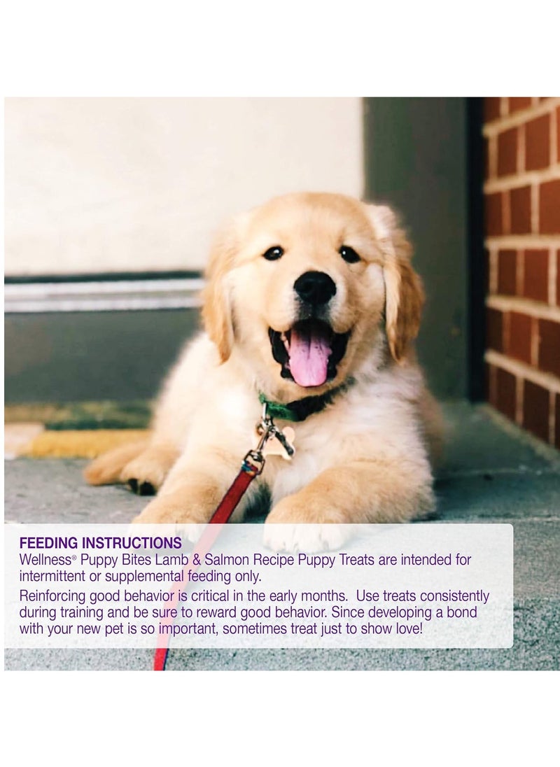 WELLNESS Soft Puppy Bites - Lamb & Salmon (3 oz)  - Image 3