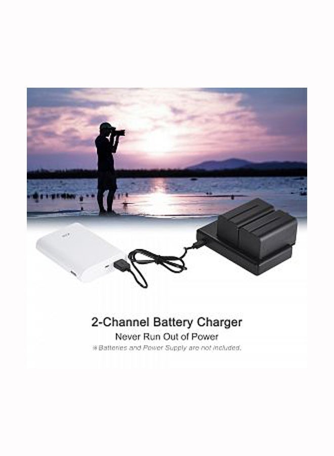 NIBEMINENT 2-Channel Micro USB Camera Battery Charger For Nikon EN-EL14 Black - Image 2