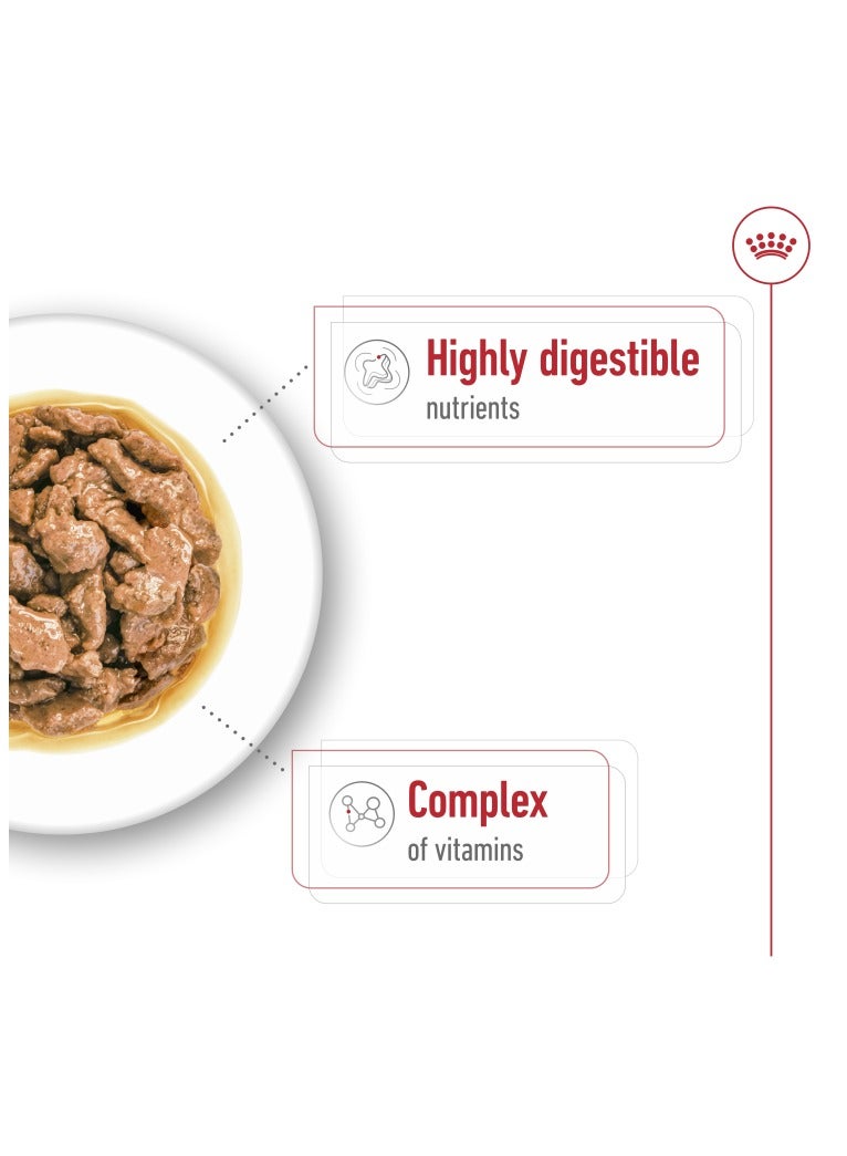 رويال كانين حقيبة طعام رطب صغيرة للبالغين من رويال كانين (85 جم * 12) - Image 5