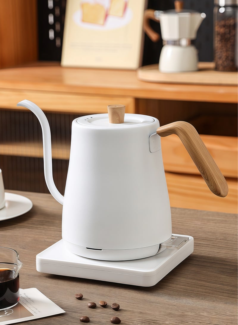 Beautiful Electric Household Kettle, Office Tea Kettle, Hotel Electric Kettle, Electric Coffee Maker - Image 1