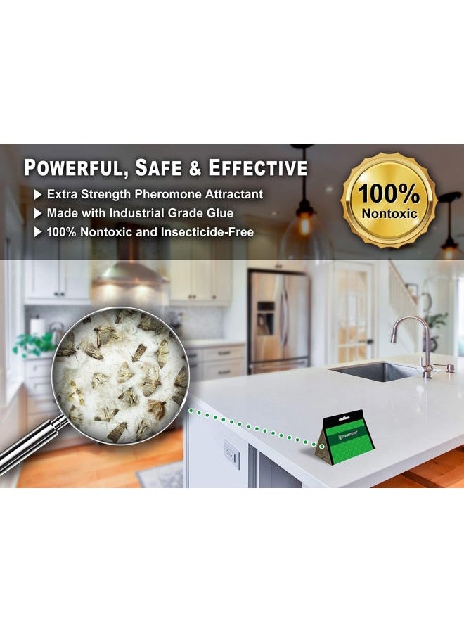 MaxGuard فخ الفراشات للمخزن (8 عبوة) مع فيرومونات فائقة القوة | فخ لاصق غير سام لاصطياد فراشات الطعام والخزائن في مطبخك | فخ وقتل آفات المخزن - Image 4