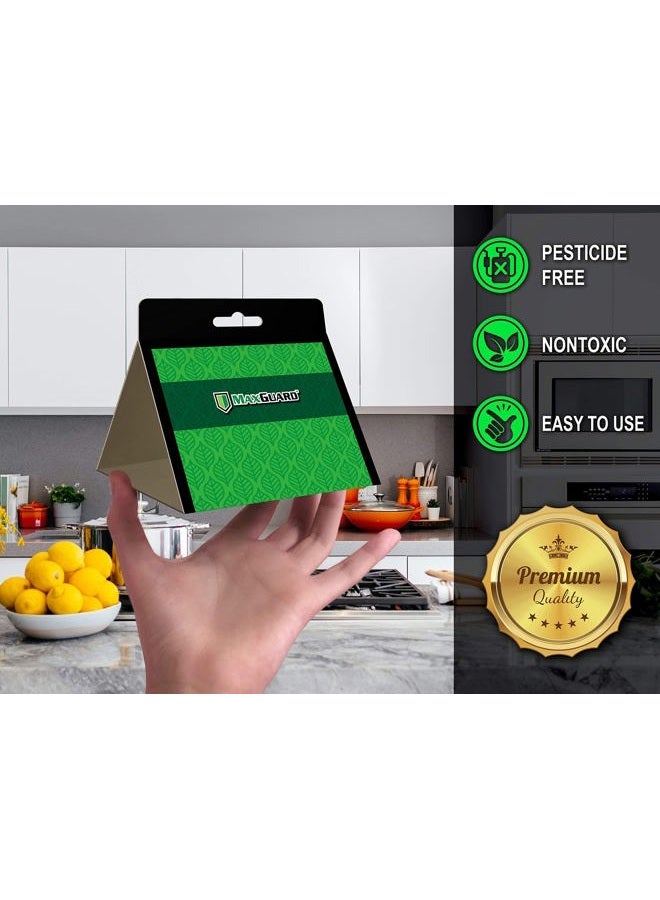 MaxGuard فخ الفراشات للمخزن (8 عبوة) مع فيرومونات فائقة القوة | فخ لاصق غير سام لاصطياد فراشات الطعام والخزائن في مطبخك | فخ وقتل آفات المخزن - Image 3