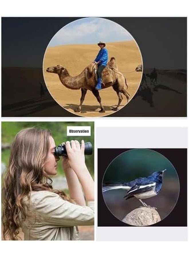 300X40 Neutral Stand Climbing Birdwatching Telescope Quick Focus for Outdoor Travel Bird Watching - Image 3
