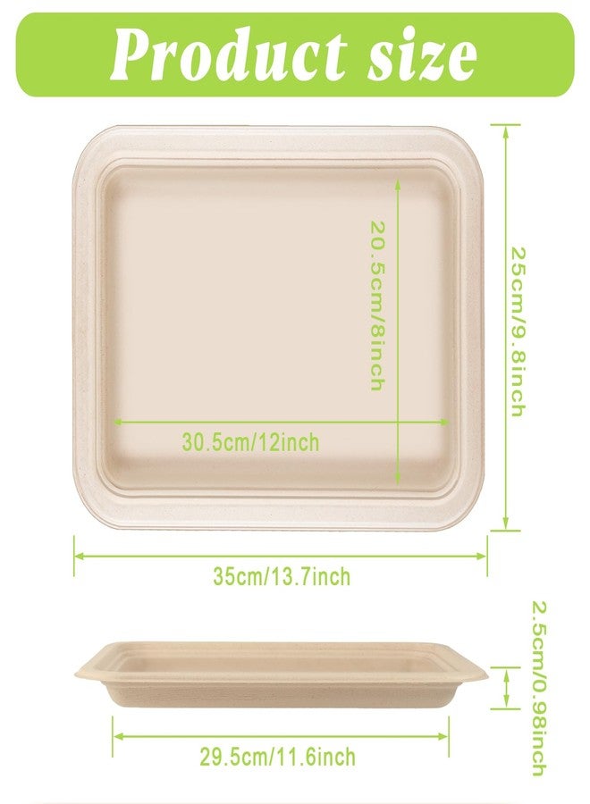 Xvvirnt 50 Pack 14 Inch Disposable Food Trays, Compostable Extra Large Paper Plates, Heavy Duty Large Paper Platter Plates, Platters Trays for Serving Crawfish Lobster, Crab, Seafood Boil - Image 2