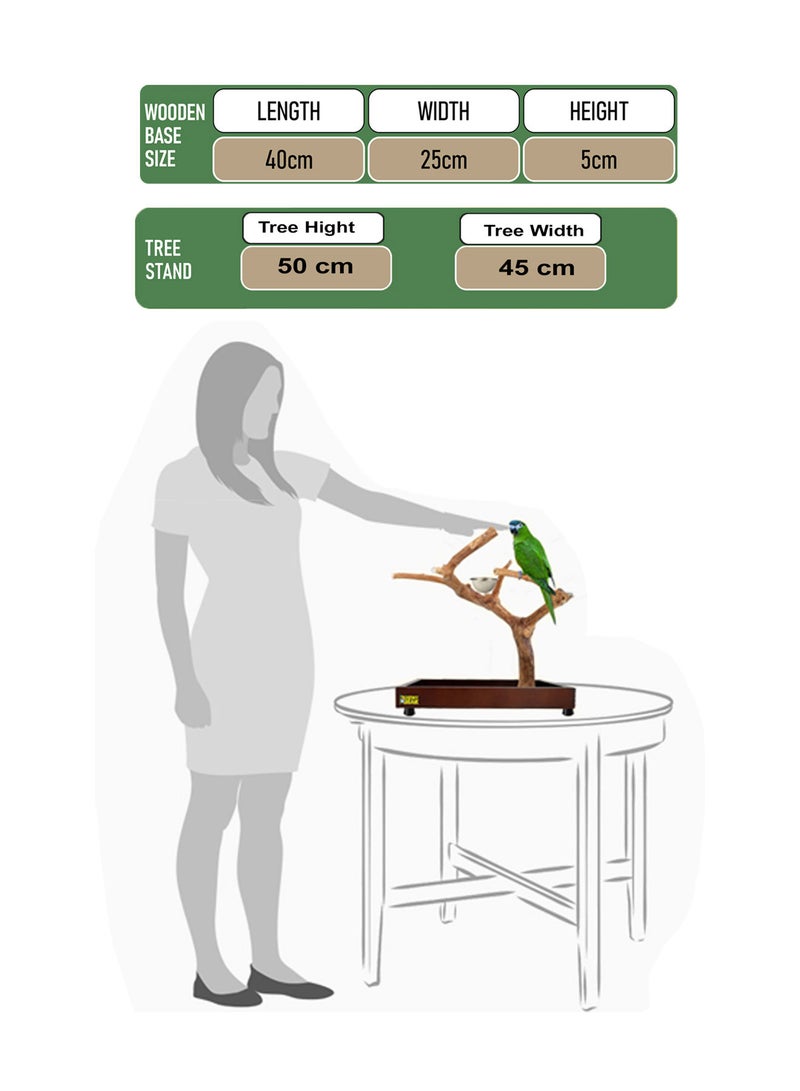 CHEWY BEAK Bird Stand Table Top Natural wooden Parrot Play Stand Indonesian Java wood Tree Perches with Stainless steel feeder small size - Image 2