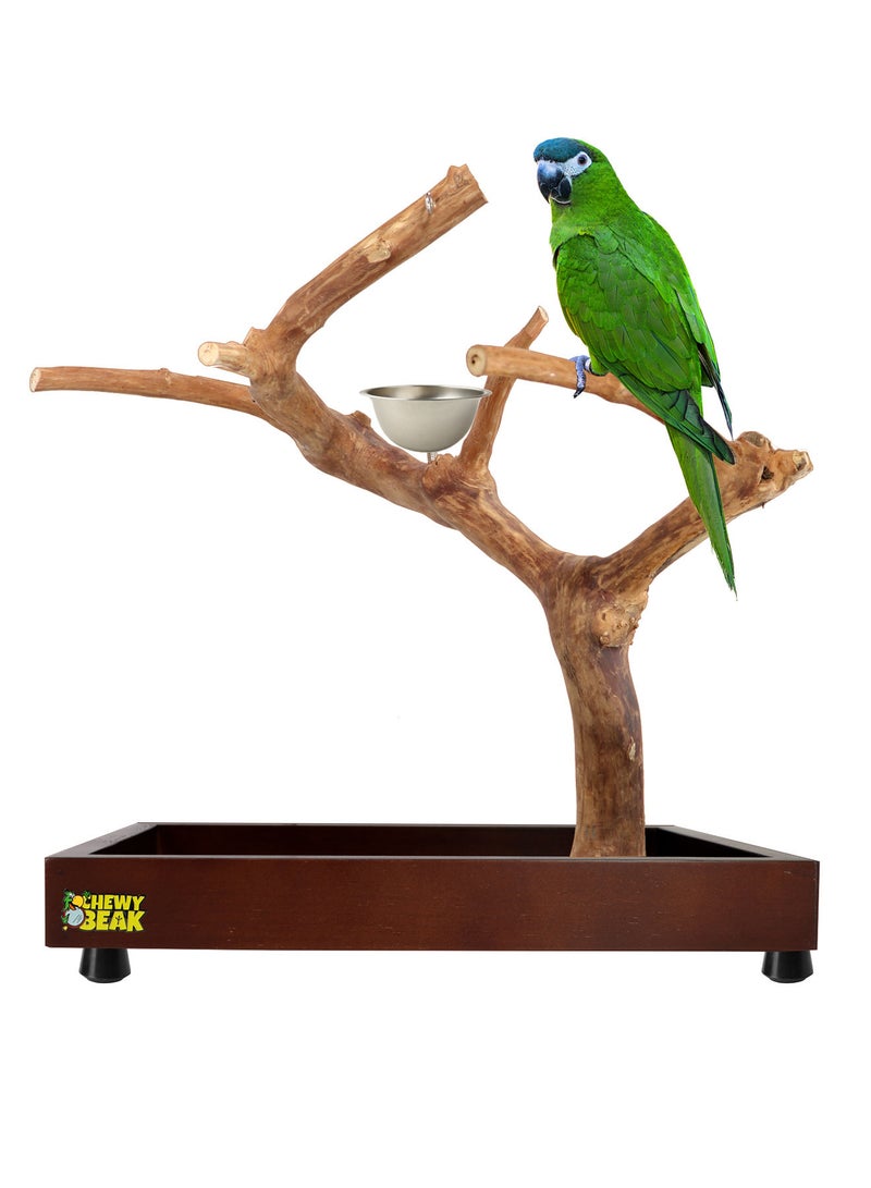 CHEWY BEAK Bird Stand Table Top Natural wooden Parrot Play Stand Indonesian Java wood Tree Perches with Stainless steel feeder small size - Image 1
