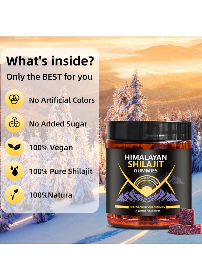 Organic SHILAJIT Gummies Zero Added Sugar Clean Formula Natural Rich in Fulvic Acid Helps Fight Fatigue and Stress Restore Positive Mood Maintain Immune Health 30 Gummies