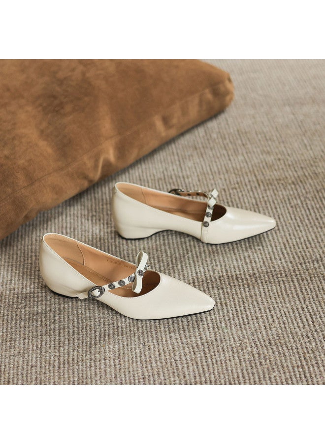 AME Pointed-toe Mary Jane Shoes 2025 New Design Decorative Buckle Flats With Horse Heel, Unique And Stylish Niche Women's Shoes - Image 5