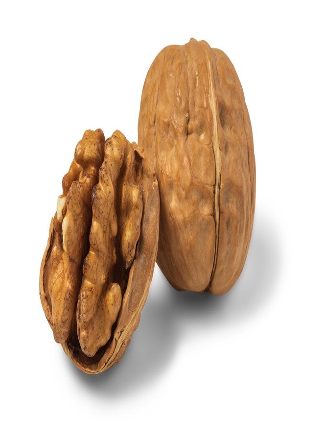 Nuts.com Whole Walnuts in Shell, 2 lbs – Fresh Unshelled Raw Walnuts with Buttery, Nutty Flavor - Image 3