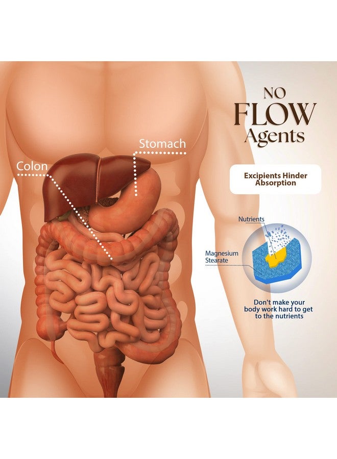 Dr Clark Store Dr. Clark Store Intestine Support & Cleanse Kit - with Freeze-Dried Green Black Walnut Hulls, Wormwood, and Cloves-Helps Maintain Optimum Intestinal Function - Vegetarian Capsules - Image 4