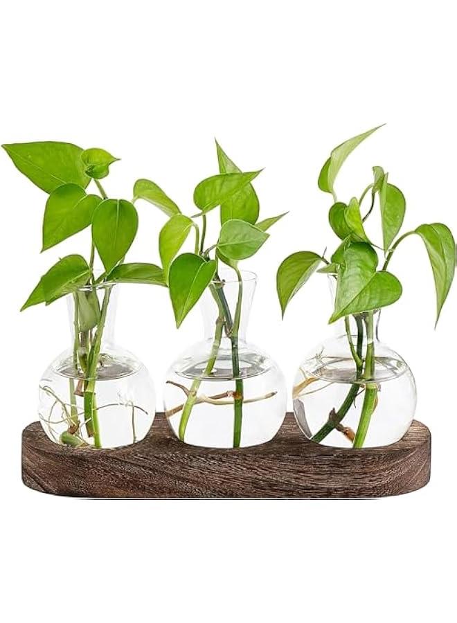 HOOKOR Desktop Plant Propagation Station Glass Planter Terrarium with Wooden Tray Bulb Flower Vase Perfect for Propagating Hydroponic Plants Home Office Decor Plant Lover Gift Idea (3) - Image 1