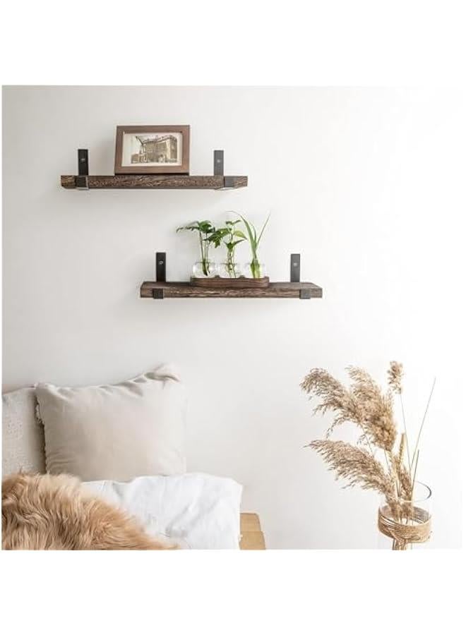 HOOKOR Desktop Plant Propagation Station Glass Planter Terrarium with Wooden Tray Bulb Flower Vase Perfect for Propagating Hydroponic Plants Home Office Decor Plant Lover Gift Idea (3) - Image 3