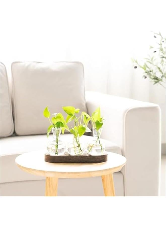 HOOKOR Desktop Plant Propagation Station Glass Planter Terrarium with Wooden Tray Bulb Flower Vase Perfect for Propagating Hydroponic Plants Home Office Decor Plant Lover Gift Idea (3) - Image 2