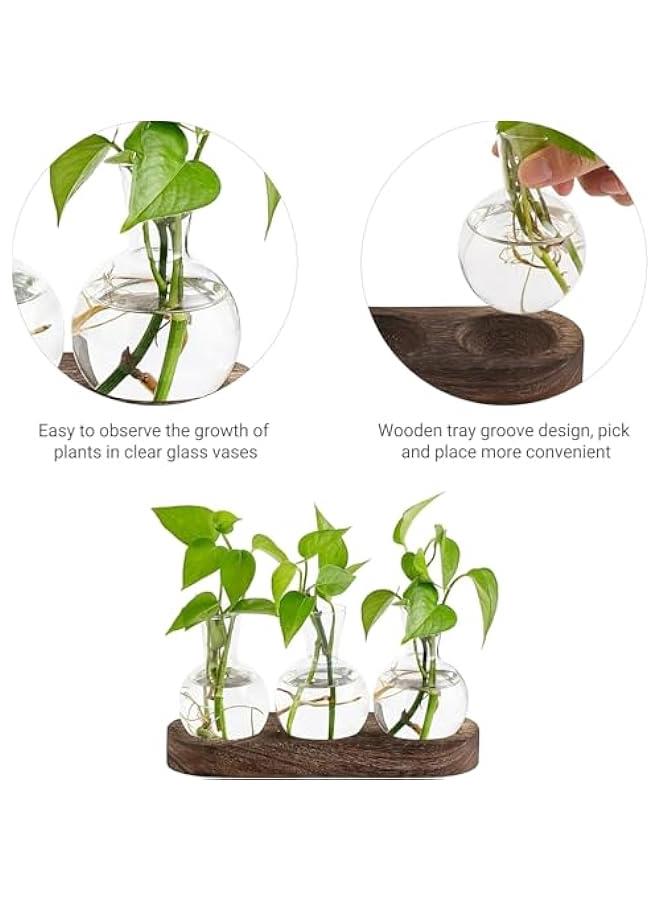 HOOKOR Desktop Plant Propagation Station Glass Planter Terrarium with Wooden Tray Bulb Flower Vase Perfect for Propagating Hydroponic Plants Home Office Decor Plant Lover Gift Idea (3) - Image 4