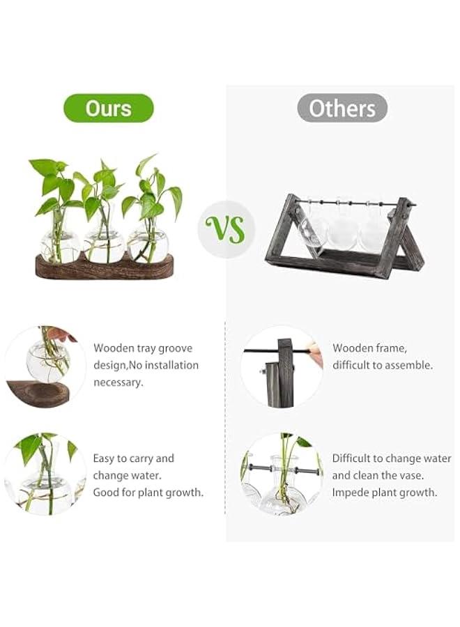 HOOKOR Desktop Plant Propagation Station Glass Planter Terrarium with Wooden Tray Bulb Flower Vase Perfect for Propagating Hydroponic Plants Home Office Decor Plant Lover Gift Idea (3) - Image 5