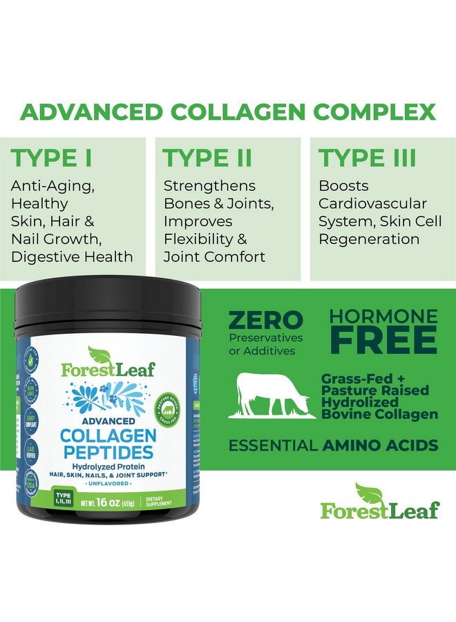 ForestLeaf بروتين مسحوق الكولاجين المهدرج المتقدم من النوع 1 و 2 و 3 بدون نكهة، 2 رطل، 80 حصة - Image 4