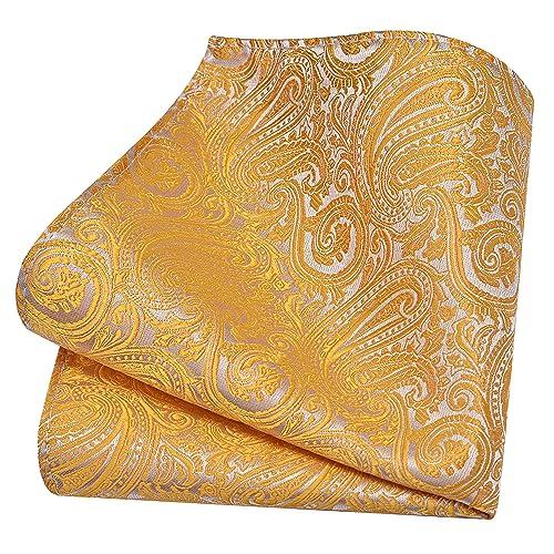 GUSLESON Mens Yellow Tie and Lapel Pin Silk Paisley Necktie Hankerchief Cufflinks Set for Wedding (IN6103-12) - Image 4