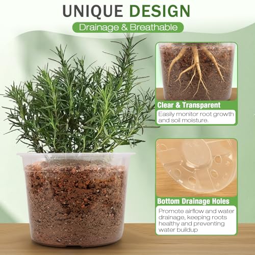 FUOAUYK 10 Inch Large Clear Nursery Pots with Drainage, 5 Pack Plastic Pots for Plants, Clear Plant Seedling Pots for Indoor & Outdoor Gardening (10 inch) - Image 3