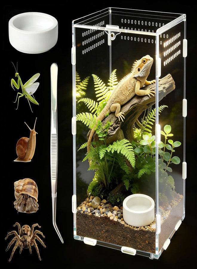 Adoture Reptile Terrarium Starter Kit (Tweezer, Bowl), 5.9" x 5.9" x 9.8" Large Insect Terrarium, Praying Mantis Habitat, Lizard Container, Snail Insect Terrarium (Vertical) - Image 1