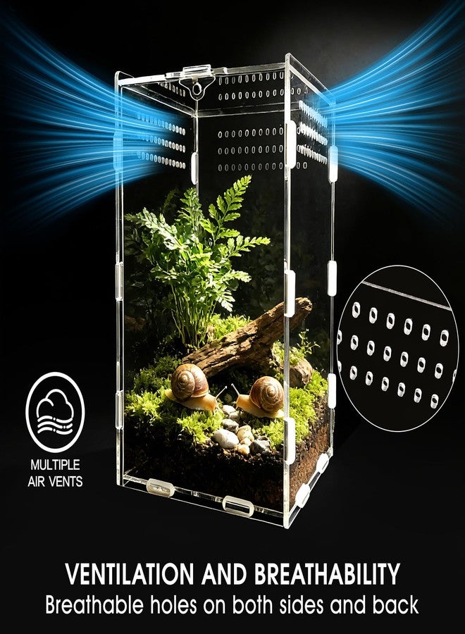 Adoture Reptile Terrarium Starter Kit (Tweezer, Bowl), 5.9" x 5.9" x 9.8" Large Insect Terrarium, Praying Mantis Habitat, Lizard Container, Snail Insect Terrarium (Vertical) - Image 5