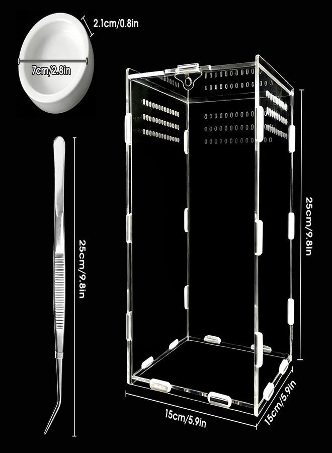 Adoture Reptile Terrarium Starter Kit (Tweezer, Bowl), 5.9" x 5.9" x 9.8" Large Insect Terrarium, Praying Mantis Habitat, Lizard Container, Snail Insect Terrarium (Vertical) - Image 3