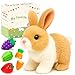 Easfan Walking Rabbit Interactive Electronic Pet Plush Bunny Toy Twitching Mouth and Nose Hoping Rabbit Ears Moving Educational Plush Toy Easter Birthday Gifts for Kids Girls 7 - Image 2