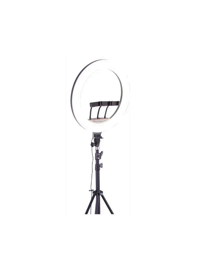 GREEN LION GLR-22 LED Ring Light with Remote Control, Stepless Dimming, 360° Rotation, Adjustable Tripod, 480 LED Lamp Beads, Endless Light Gear - Black - Image 1